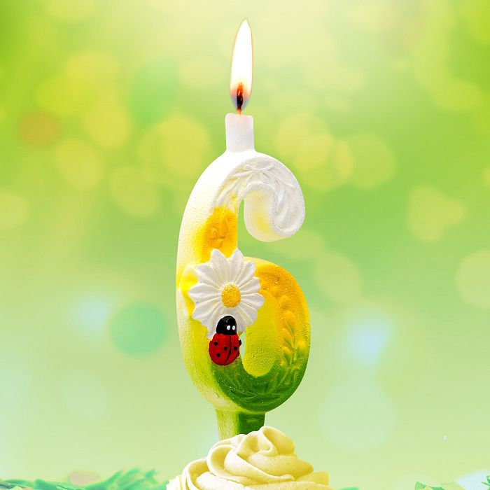 свеча тортовые цифры с ромашками 6