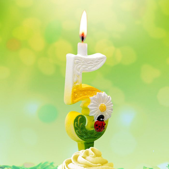 свеча тортовые цифры с ромашками 5