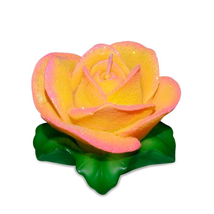 свеча роза чайная на листьях