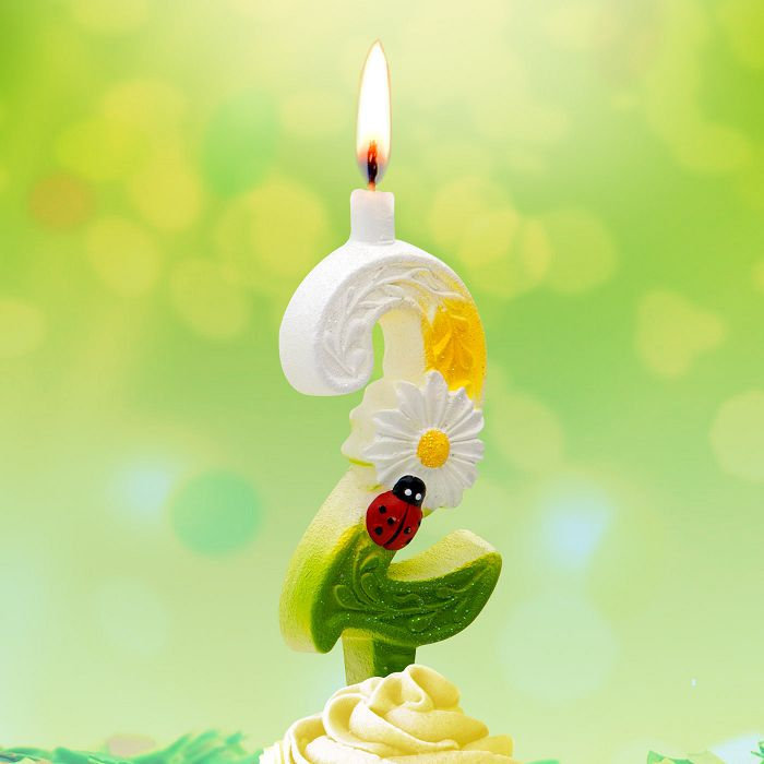 свеча тортовые цифры с ромашками 2