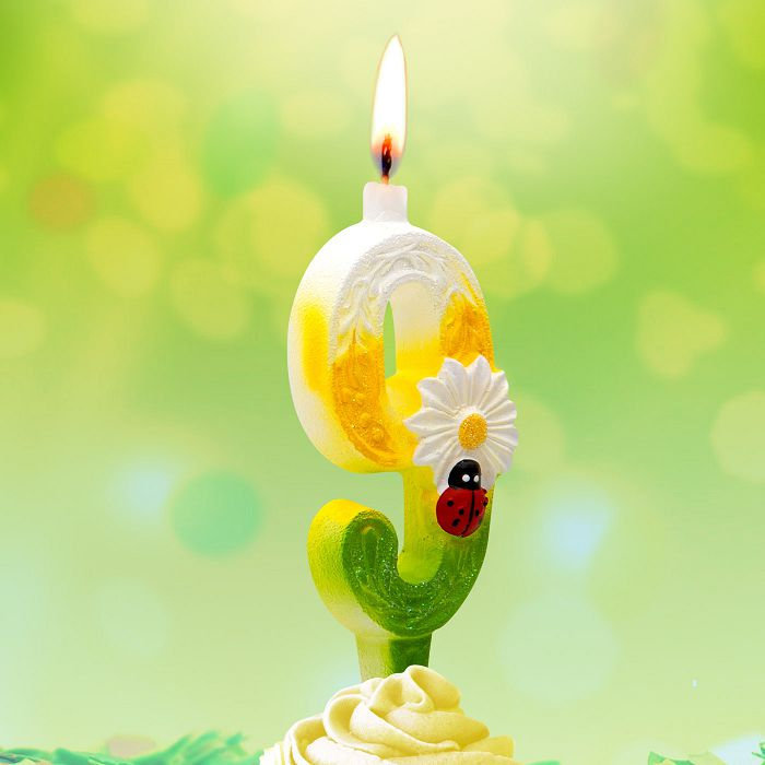 свеча тортовые цифры с ромашками 9