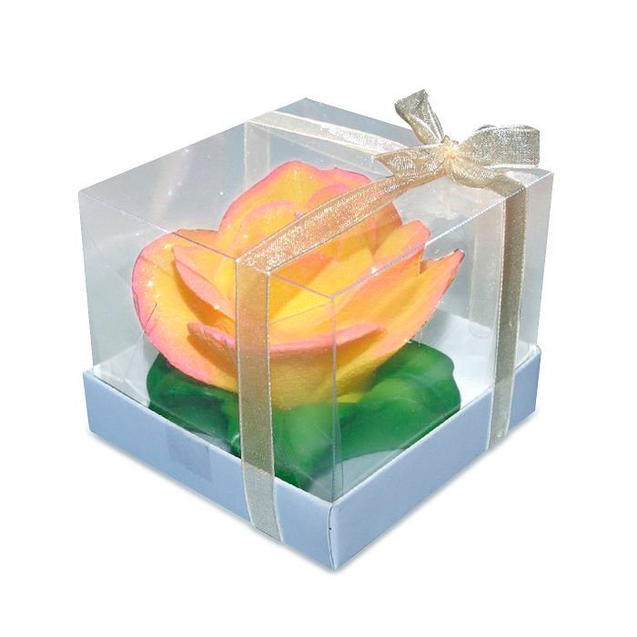 свеча роза чайная на листьях