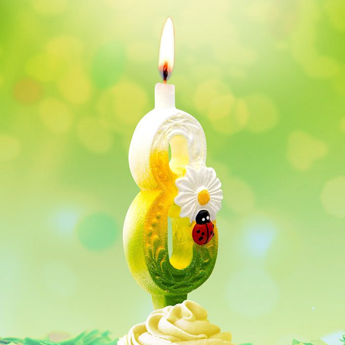 свеча тортовые цифры с ромашками 8